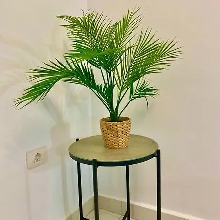 Apartment Jade Exclusives In Americas